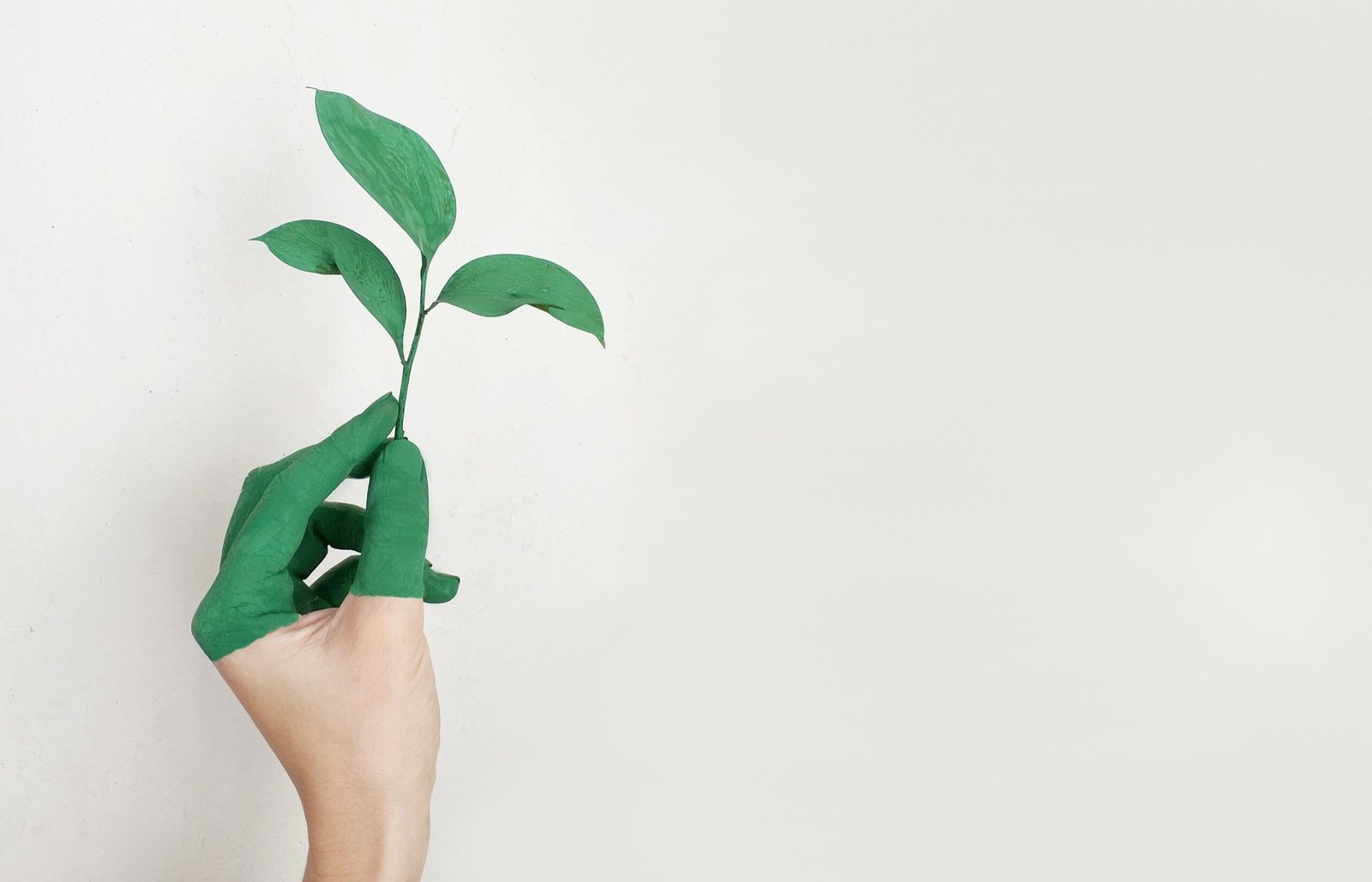 How Can I Invest In Sustainable And Environmentally Friendly Companies?